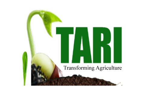 TARI 