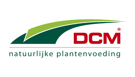 DCM